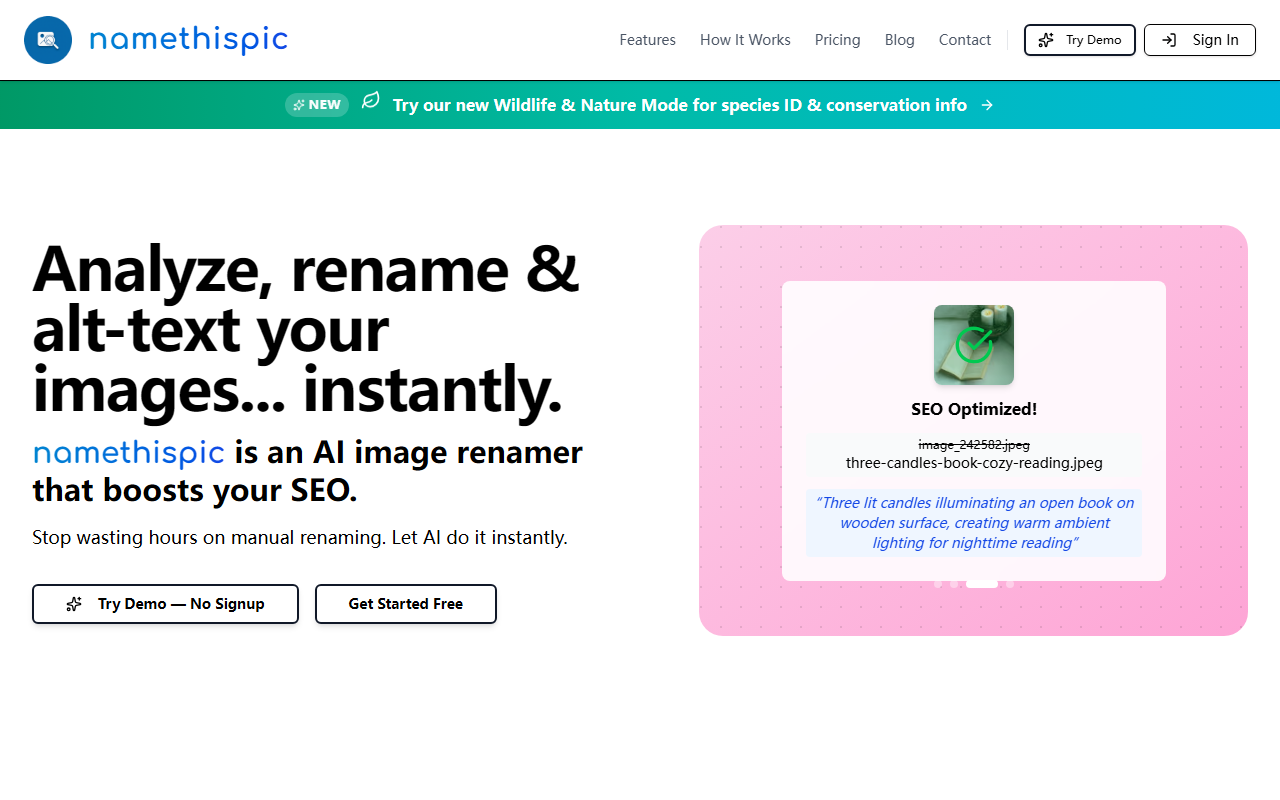 namethispic screenshot