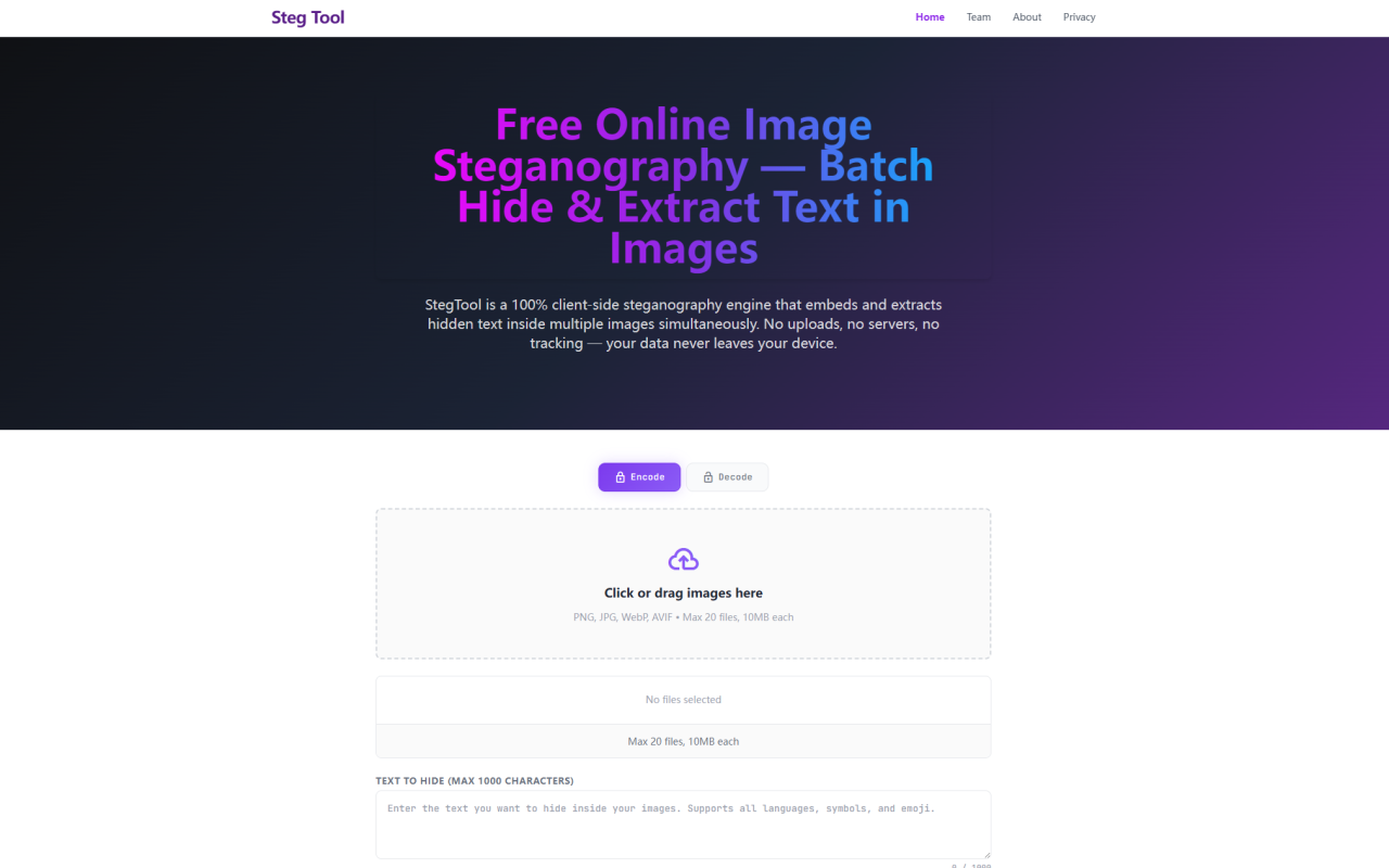 Steg Tool screenshot